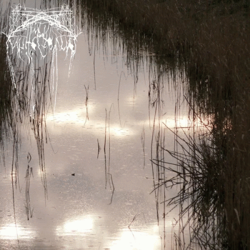 Yvyy : Sonnelism, Landscape